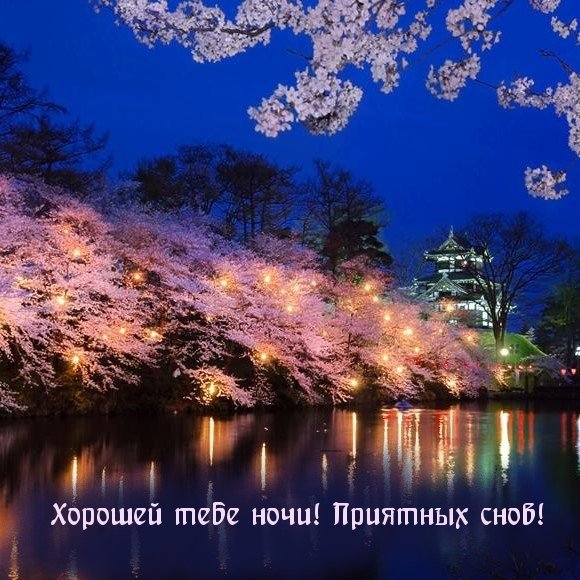 Красивая Весенняя ночь