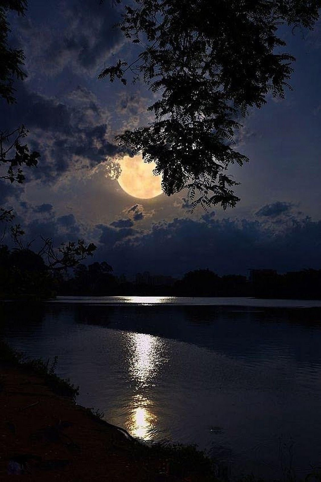 Тихого свет луны. Ночной пейзаж. Красивая ночь. Лунная ночь. Озеро ночью.