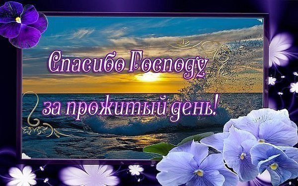 Доброй благословенной весенней ночи