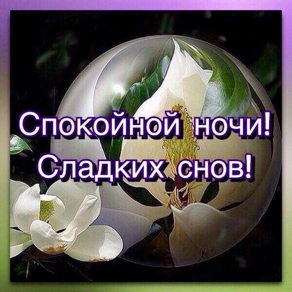 Спокойной ночи д о заатра