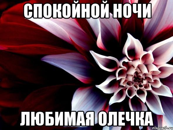 Спокойной ночи Оленька