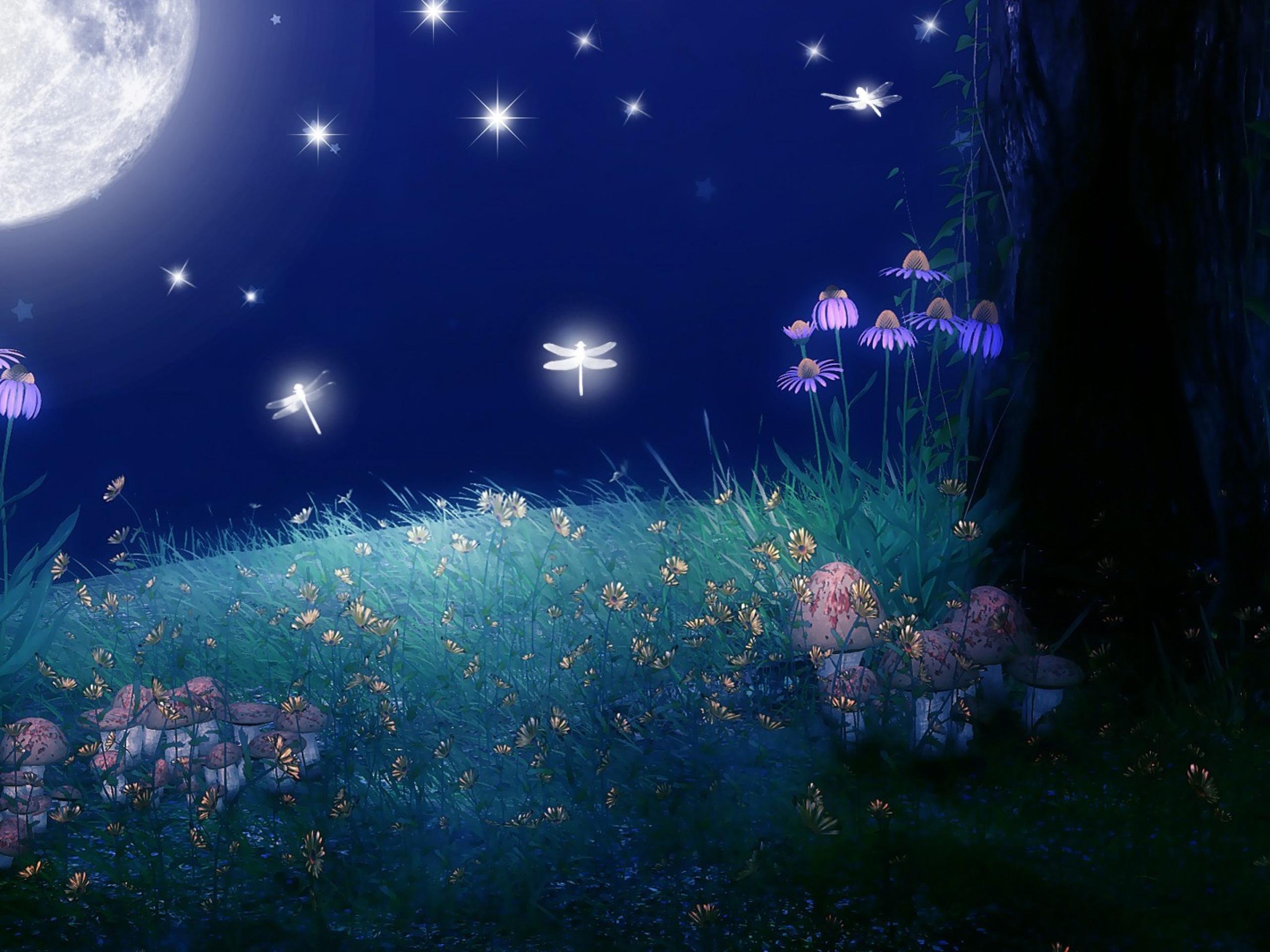 Сказочные красивые ночные картинки