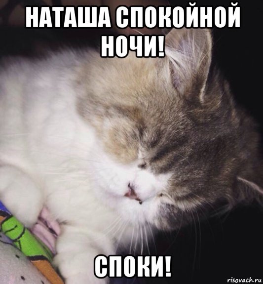 Спокойной ночи Наташенька