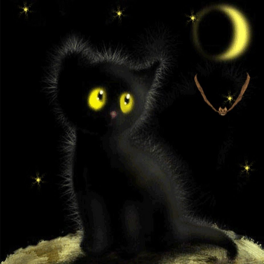 картинки спокойной ночи красивые с котенком