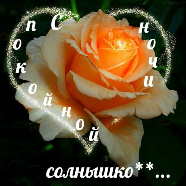 Спокойной ночи солнышко