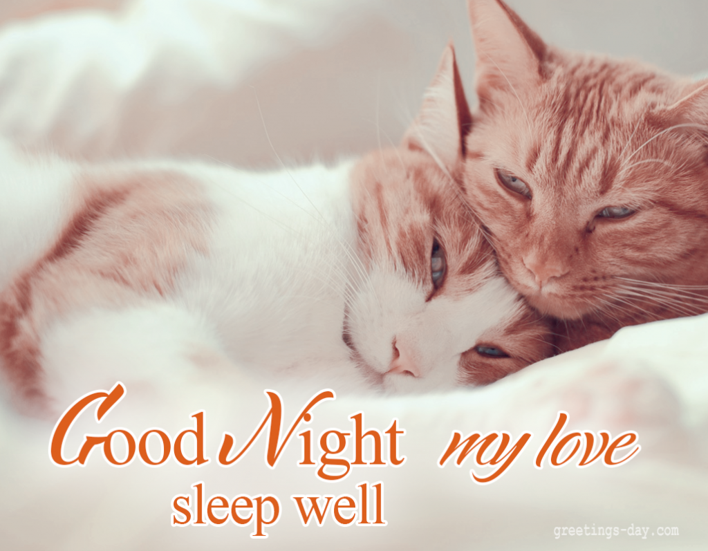 Спокойной ночи на английском перевод. Открытка good Night. Спокойной ночи котики. Спокойной ночи любимый на немецком языке. Сладких снов на англ.