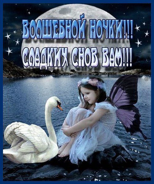 Спокойной ночи Димочка сладких снов
