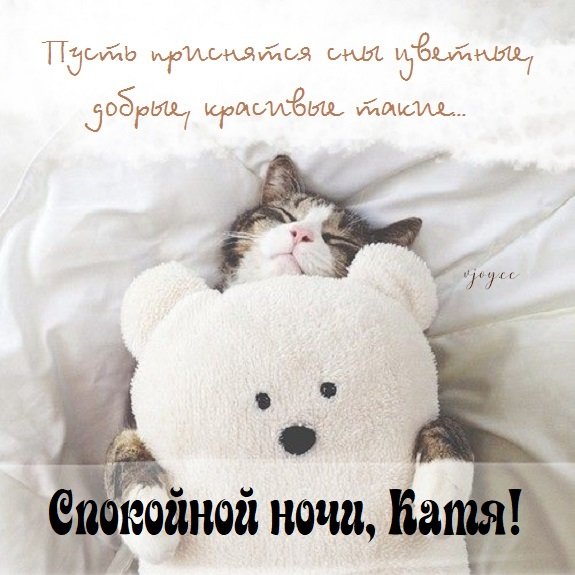Спокойной ночи Катя
