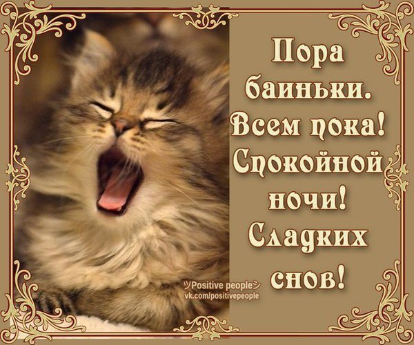 Доброй ночи сладких снов прикольные