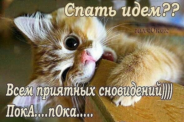 Гифки спокойной ночи прикольные смешные
