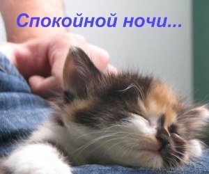 Спать пора спокойной ночи