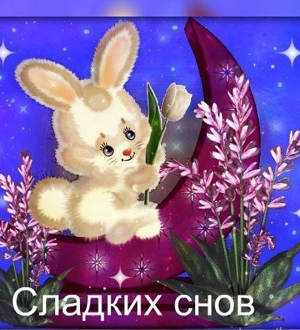 Спокойной ночи зайчик