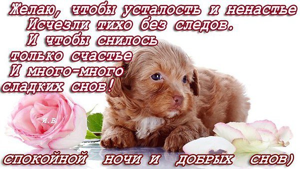 Покойной ночи доченька