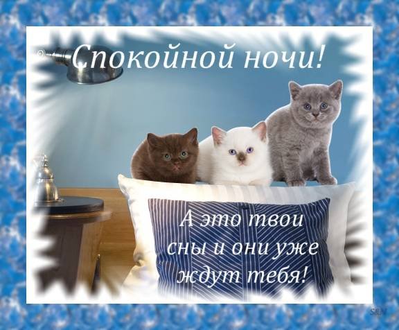 Спокойной ночи доченька