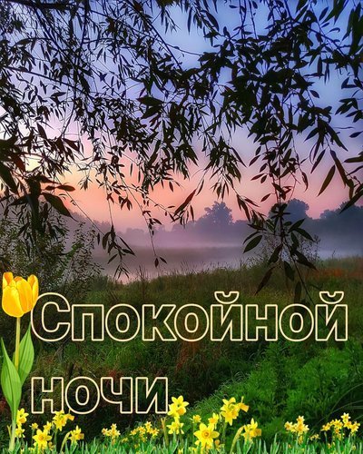 Открытки спокойной ночи с природой