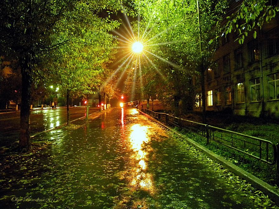Улица ночью весной. Дождь ночью. Улица парк вечер. Лето в городе. Летний вечер в городе.