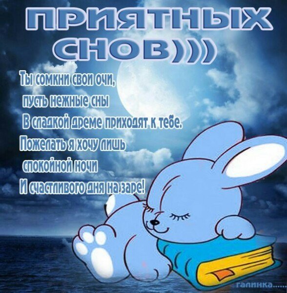 Спокойной ночи зайчик