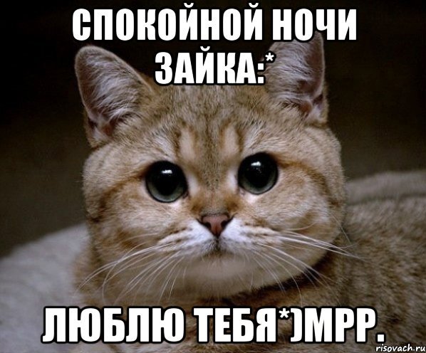 Данила Пидрила