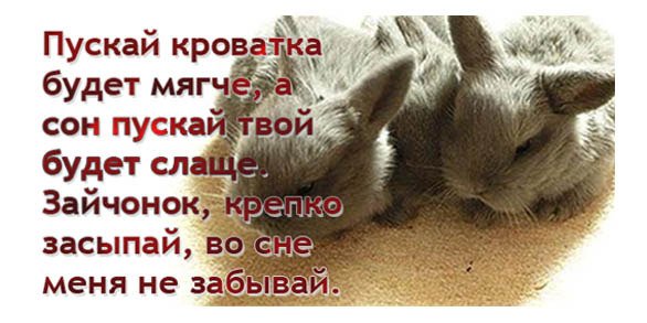 Спокойной ночи Зайка моя