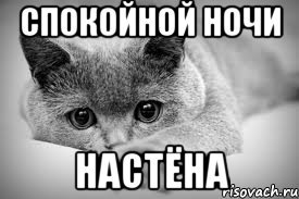 Спокойной ночи Дашенька