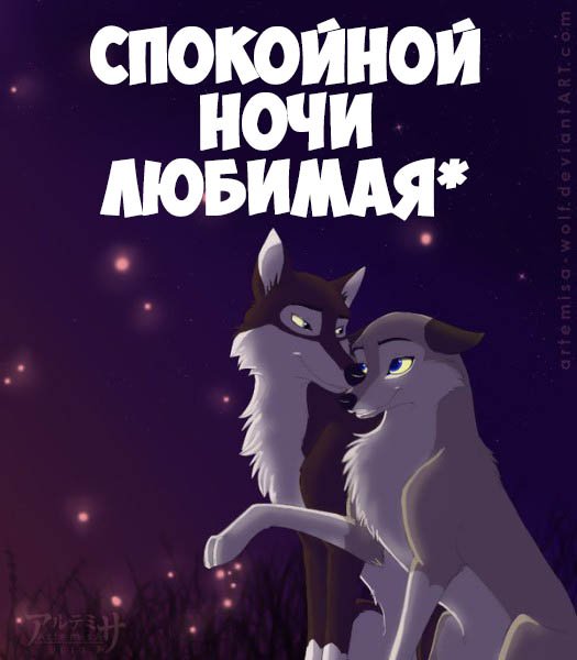 Спокойнойнлчи любимая