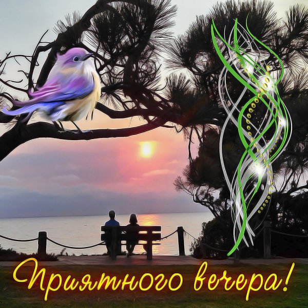 Прекрасного вечера