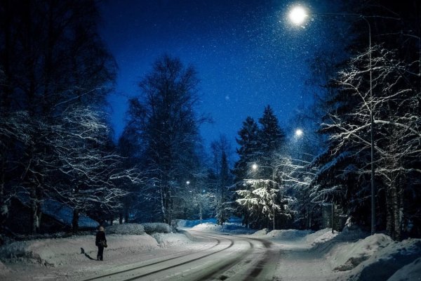 Заснеженный домик в лесу