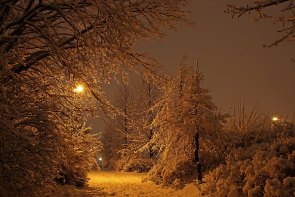 Зима Кострома деревня
