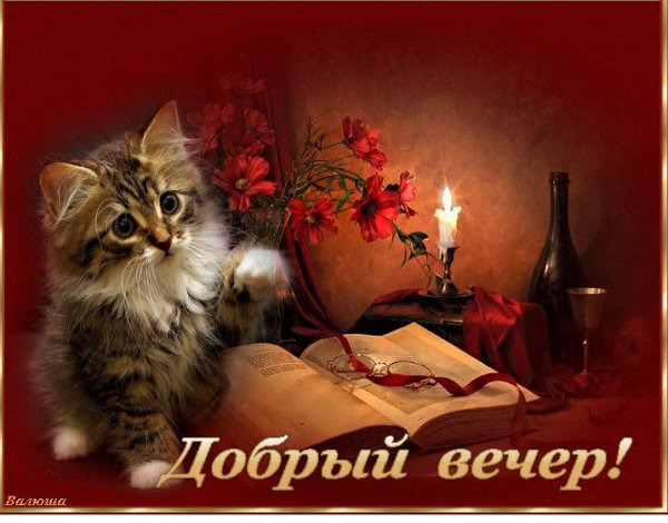 Добрый вечер милый