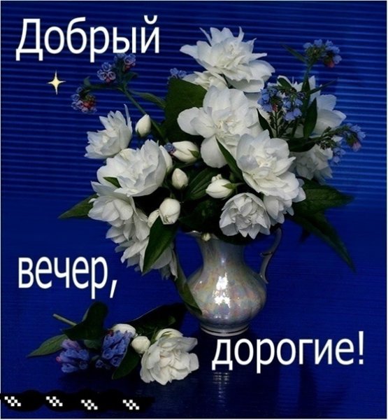 Добрый вечер Мои дорогие