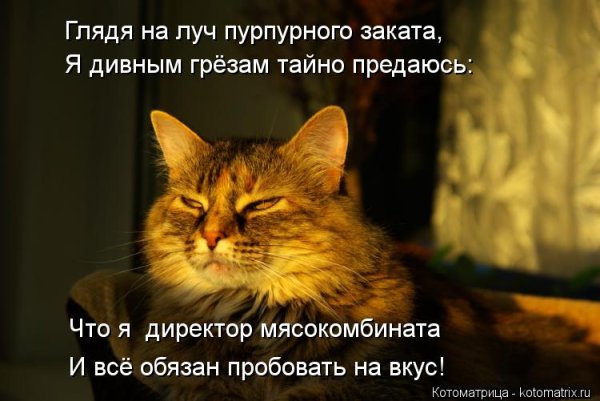 Вот и вечер наступил