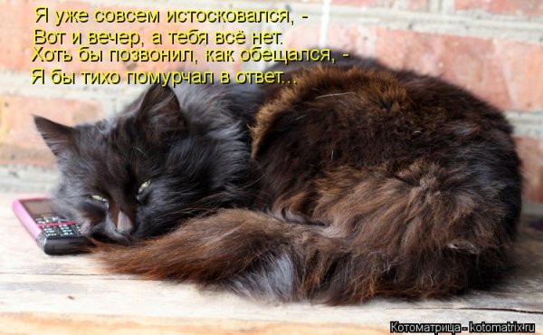 Вот и вечер картинки