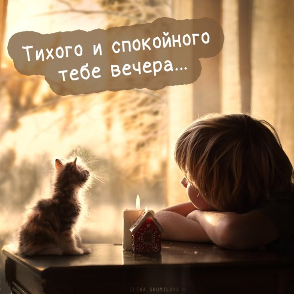 Тихого спокойного вечера