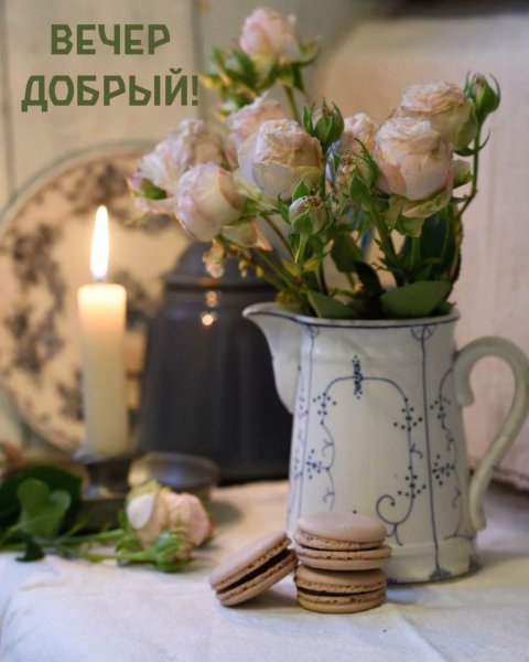 Красивые уютные цветы