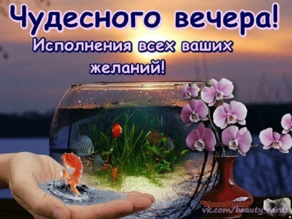 Чудесного вечера и прекрасного настроения
