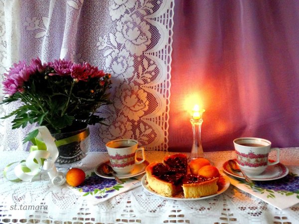 Вечерние цветы