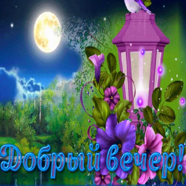 Добрый вечер Надя