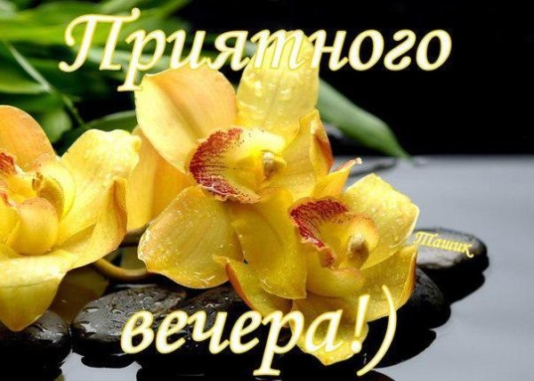 Добрый вечер пожелания короткие