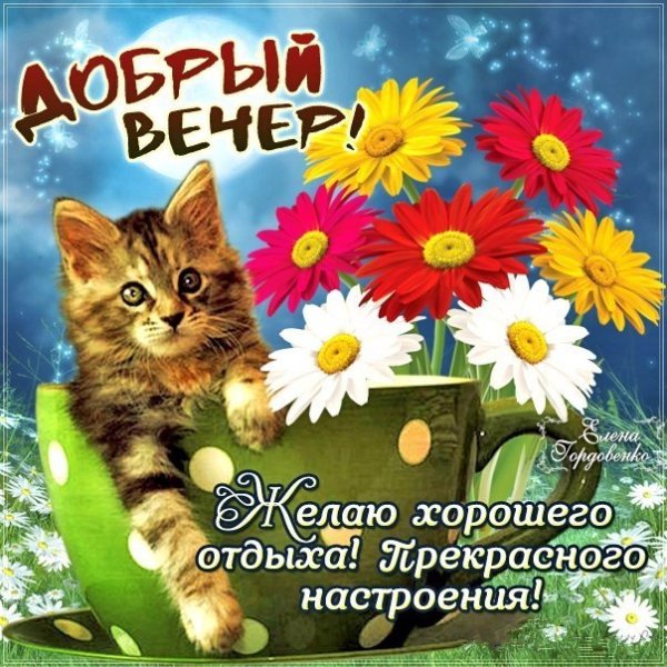 Вечер кофе ты и я жалко каждый у себя