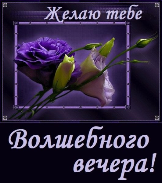 Всем доброго вечера