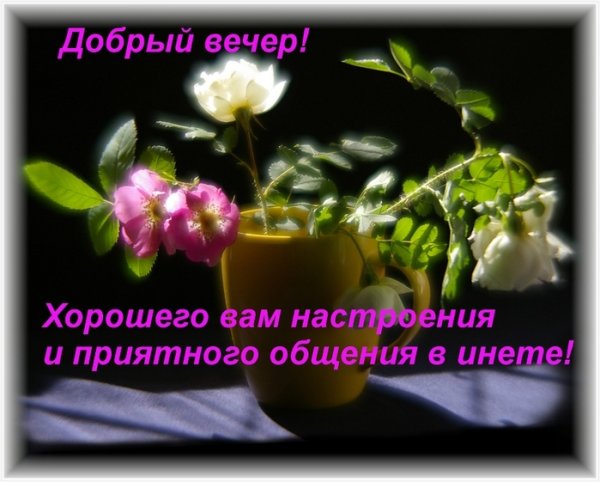 Открытка с добрым вечером вторника