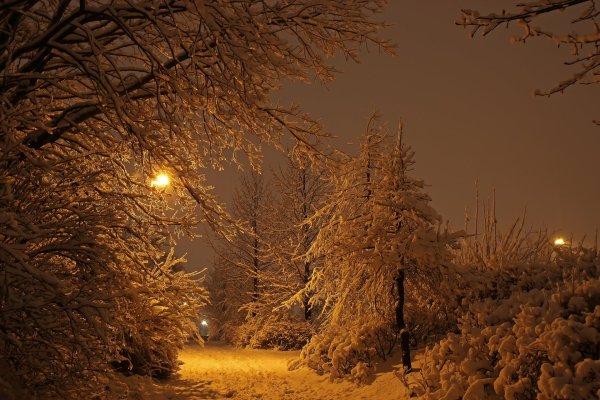 Зимний ночной пейзаж