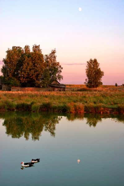 Лето в деревне