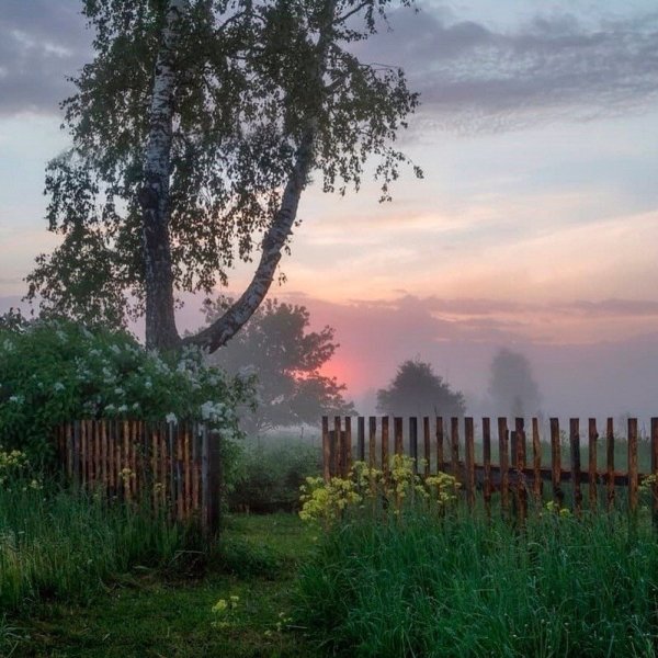 Лето в деревне