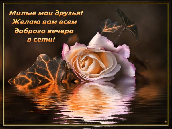Добрый вечер милые друзья