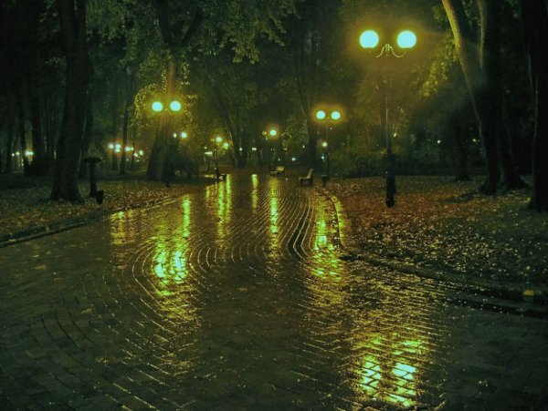Дождь ночью