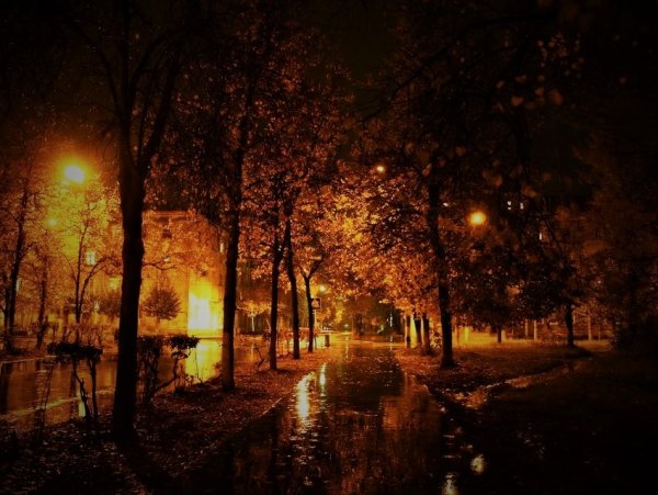 Ночной осенний город