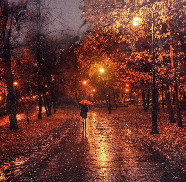 Осенняя ночь