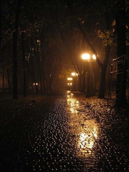 Дождливая улица