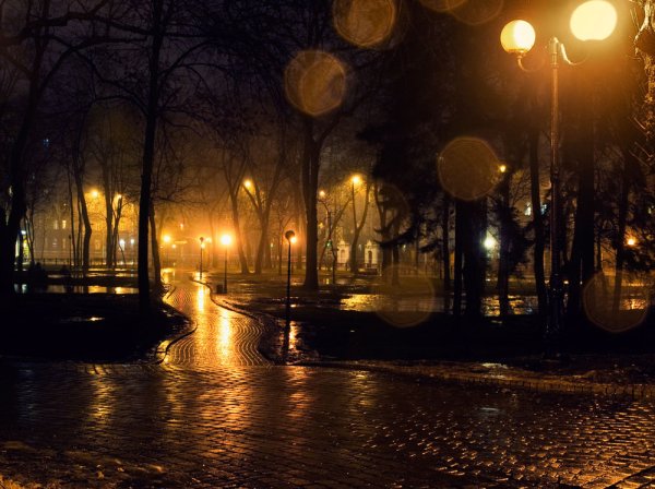 Осенний вечер в городе
